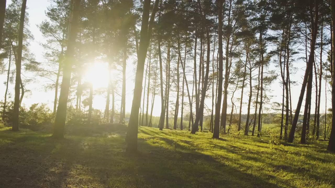 1106650_1080p_4k_1280x720_13.jpeg